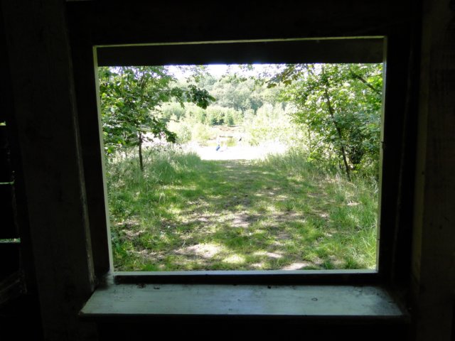 2011HWK 038.jpg
